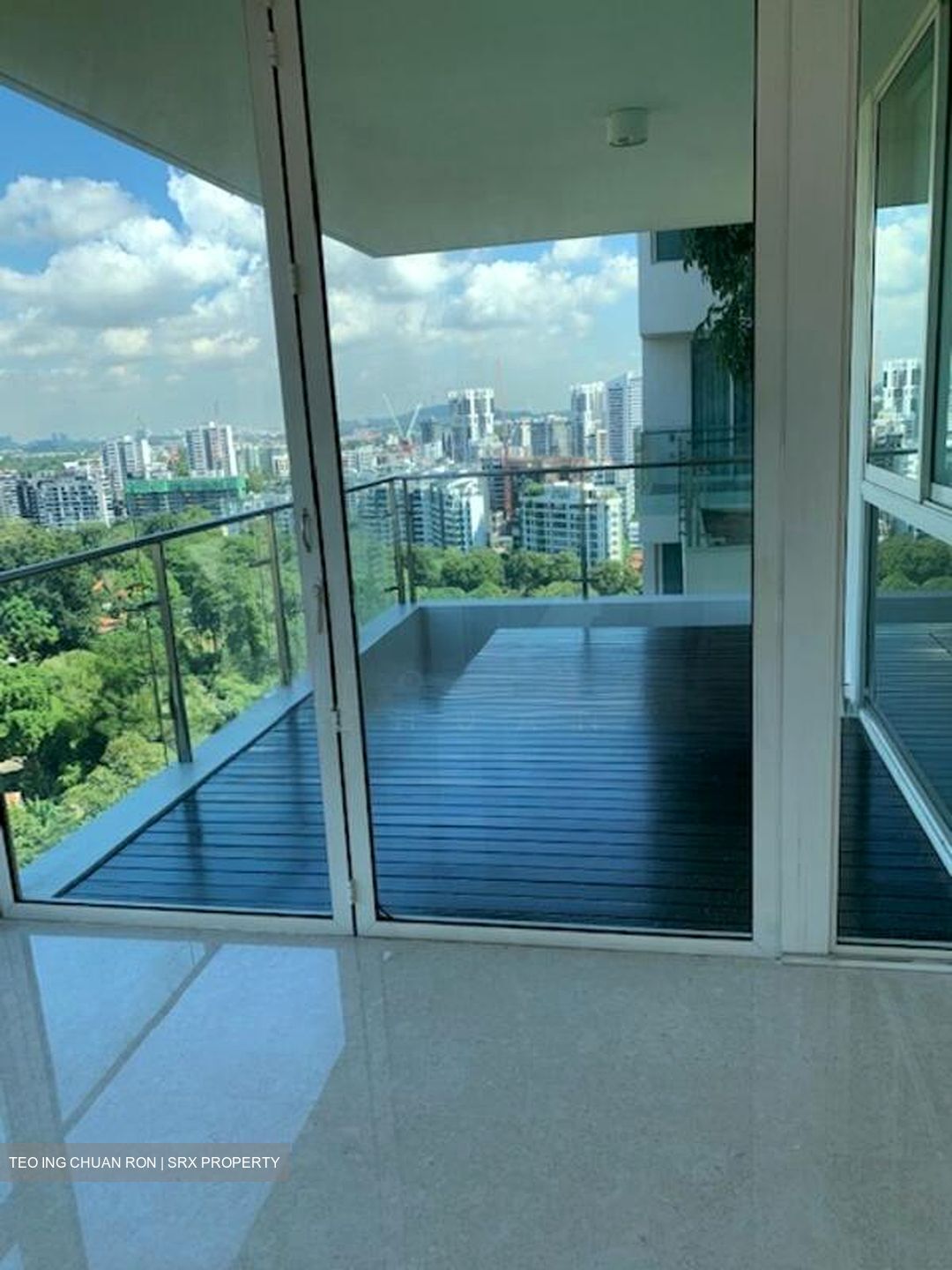 Scotts Highpark (D9), Condominium #519627561